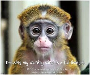 Focusing my "monkey mind" is a full time job