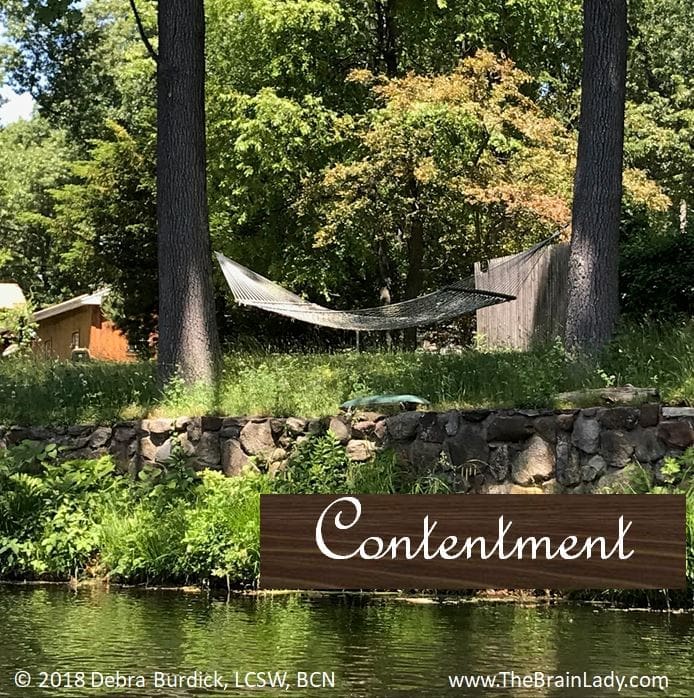 A hammock strung between two trees in a peaceful forest setting.