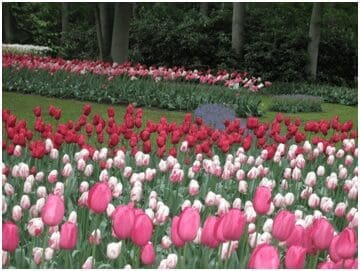 A set of CDs titled 'Attention Deficit Hyperactivity Disorder' for parents.