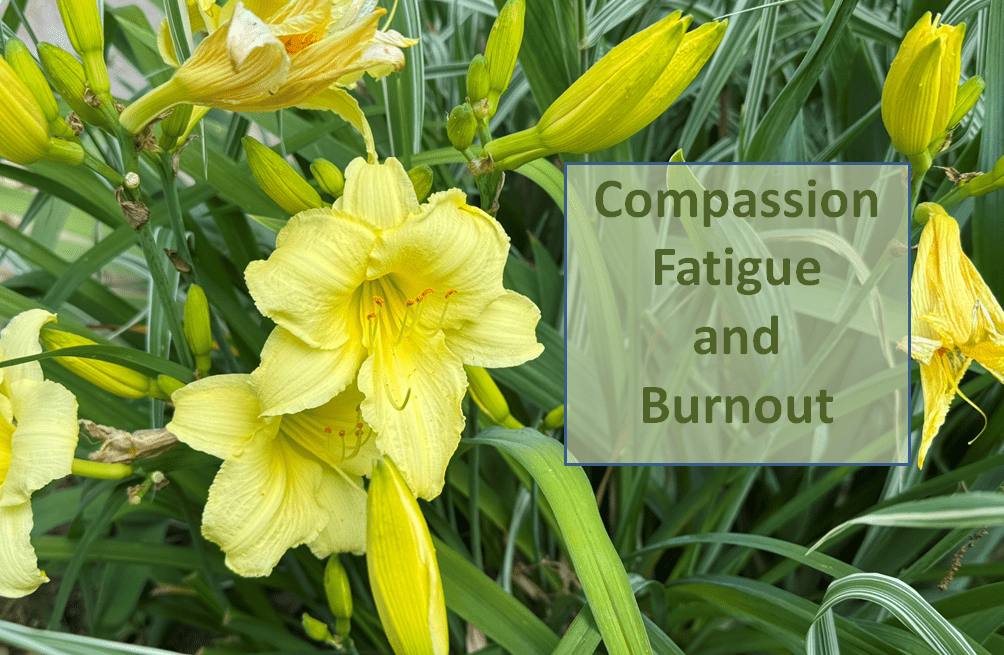 Compassion Fatigue and Burnout