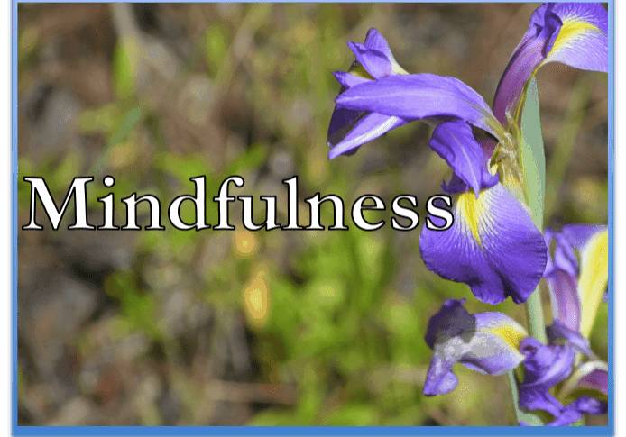 Mindfulness