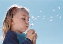 A child blowing dandelion seeds in the sunlight.